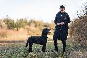 Hundeschule Tanja Kaiser - GALLERY
