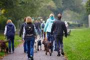 Hundeschule Traumhund - 1