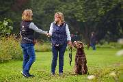 Hundeschule Traumhund - 3