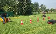 Hundeschule Traumhund - 9