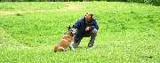 Hundeschule Wauschlau - Hundeschule Wauschlau - Hundetrainer Hans Brings	Hundetrainer Hans Brings – Gründer der Hundeschule Wauschlau seit 1998. Spezialist für verhaltensauffällige Hunde, lizenzierter LaKoKo-Trainer und anerkannter Hundesachverständiger m