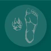 Hundetraining Apicella - 1