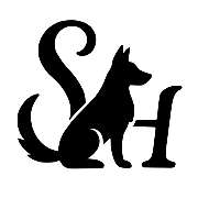 Hundetraining – Sabrina Haupter - GALLERY