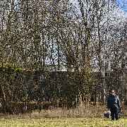 Hundetraining Zum Dream-Team - GALLERY