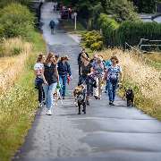 Hundetraining Zum Dream-Team - GALLERY