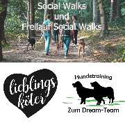 Hundetraining Zum Dream-Team - GALLERY