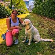 Hundezentrum Lapki - GALLERY