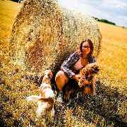 Hundezentrum Lapki - GALLERY