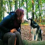 Hundezentrum Lapki - GALLERY