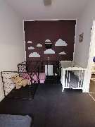 Hundezentrum Lapki - GALLERY