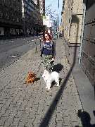 Hundezentrum Lapki - GALLERY