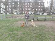 Hundezentrum Lapki - GALLERY