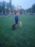 Hundezentrum Lapki - GALLERY