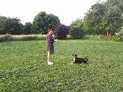 Hundezentrum Lapki - GALLERY