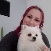 Hundezentrum Lapki - GALLERY