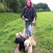 Hundezentrum Lapki - GALLERY