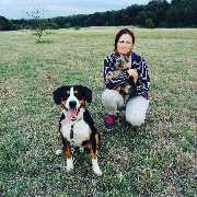 Hundezentrum Lapki - GALLERY