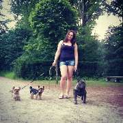 Hundezentrum Lapki - GALLERY