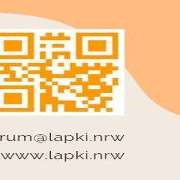 Hundezentrum Lapki - GALLERY