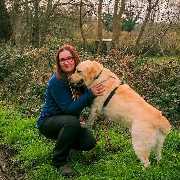 Hundezentrum Lapki - GALLERY