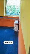 Hundezentrum Lapki - GALLERY