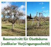 HVD Service - 20220222_202348.jpg