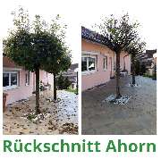 HVD Service - 20221002_185134.jpg