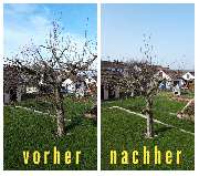 HVD Service - Baumschnitt