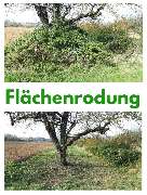 HVD Service - Flächenrodung