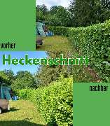 HVD Service - Heckenschnitt