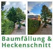 HVD Service - HVD_Hecke_Baum.jpg
