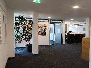HWS Reutlingen GmbH & Co. KG | Steuerberater in Reutlingen - GALLERY