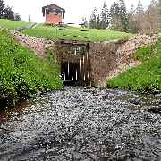 Umweltverträglichkeitsvorprüfung, Kartierung usw. | Hochwasserrückhaltebecken Herbolzheim