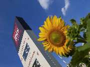 ibis Berlin Dreilinden - GALLERY
