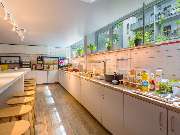 ibis Budget Hamburg St.Pauli Messe - neu renoviert - GALLERY