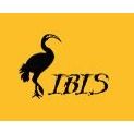 IBIS Interkulturelle Arbeitsstelle e. V. - LOGO