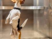 ibis Nuernberg Hauptbahnhof - GALLERY