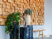 ibis Styles Nagold-Schwarzwald - GALLERY