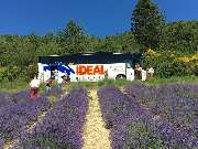 IDEAL REISEN - unterwegs mit netten Menschen - 14