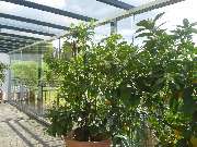 Ideen Aus Stahl - Schlosserei u. Zaunbau - 21