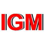 IGM Ingenieurbüro Giso Müller KFZ-Sachverständigen-Büro - LOGO