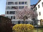 IHK Bildungszentrum Halle-Dessau GmbH - GALLERY