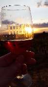 Ihle Besen - Feierabend, ein Glas Wein auf der Terrasse genießen
