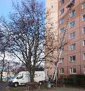 Ihr Entrümpeler - 6