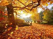 Ihre Firma mit Ihren Produkten & Services - GALLERY