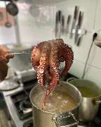 il Mattone - Mediterranes Restaurant Bonn - il Mattone - Mediterranes Restaurant in Bonn