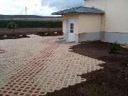 Immergrün Meisterbetrieb Bernd Spannaus - GALLERY