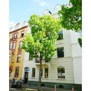 Immobilien Frick - GALLERY