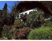 Immobilien Reidl - GALLERY