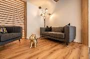 IMMOBILIEN SCHMIDe - IMMOBILIEN-SCHMIde-Sofa